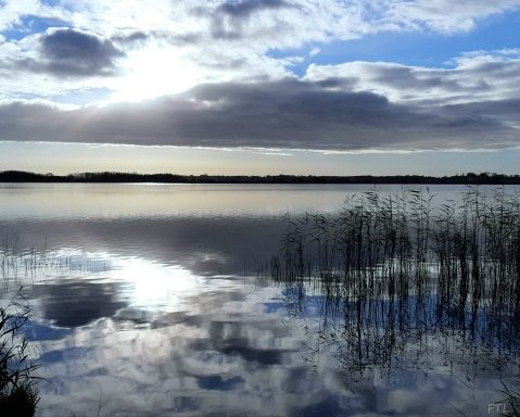 reflectie